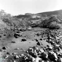 River Swale, Hag Wood